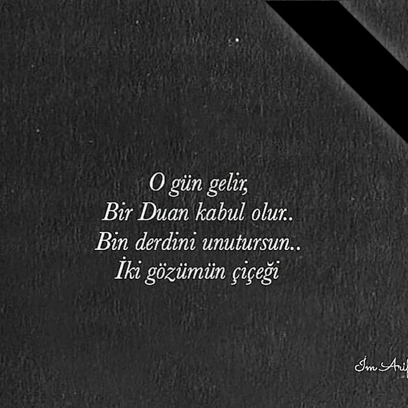Ayşenur
