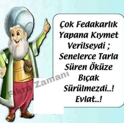 Servet