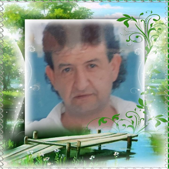 Şahin