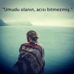 Şahin