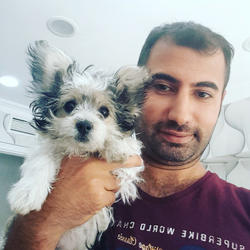 Ali