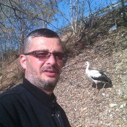 Taner