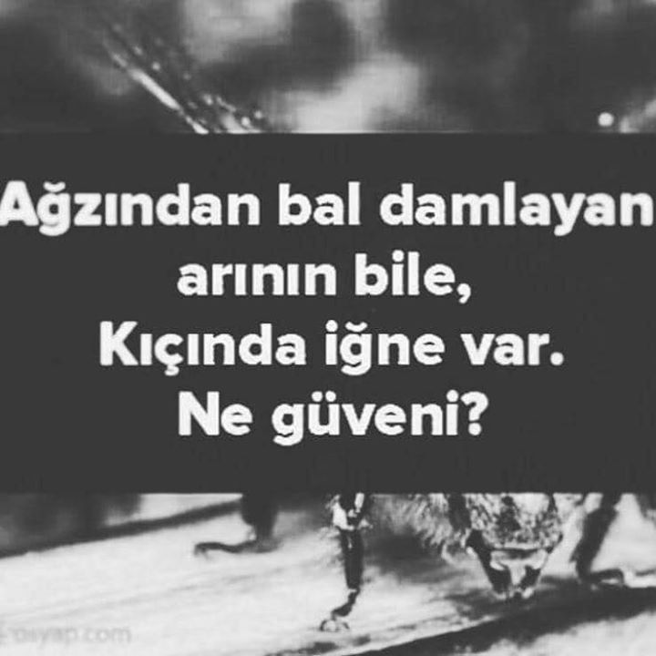 Mahmut