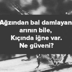 Mahmut
