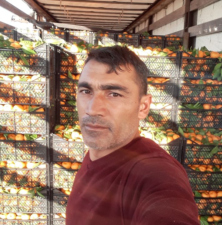 Fevzi