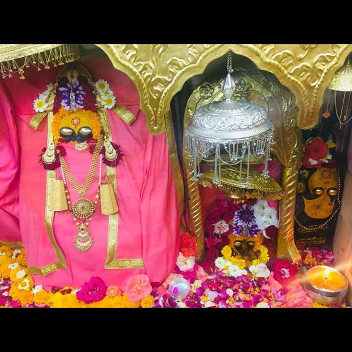 Vinod