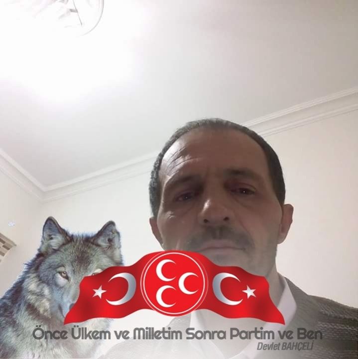 Haluk
