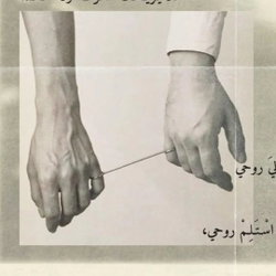 Shyar