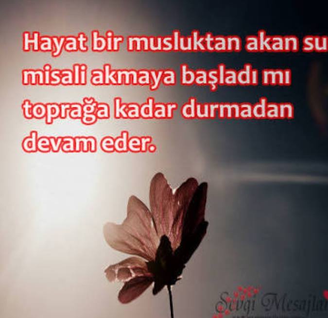 Çalık