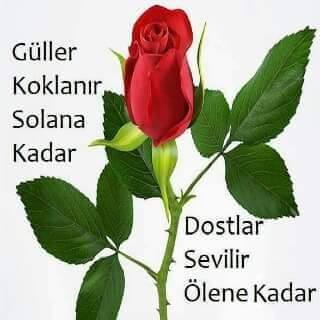Derya