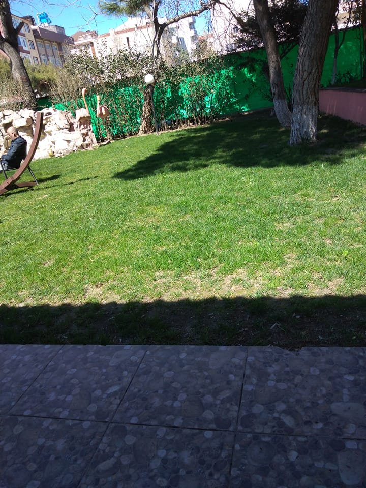 Usta