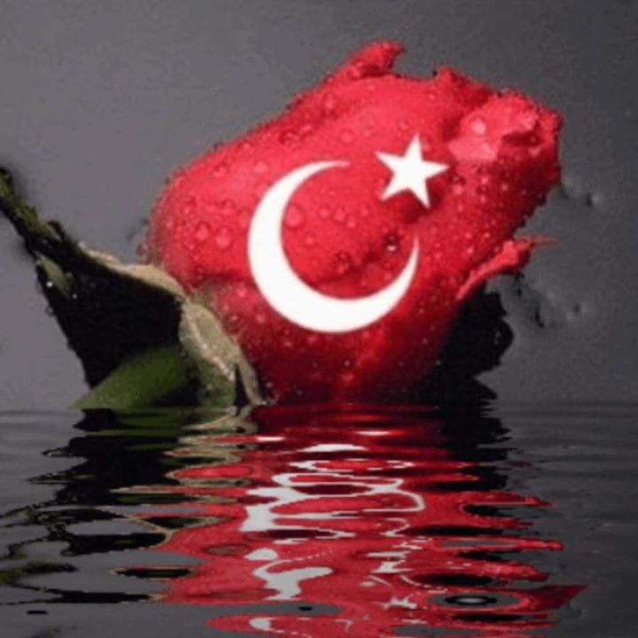 Soner