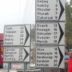 Mevlut