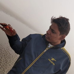 Bijoy