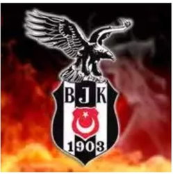 Erdal