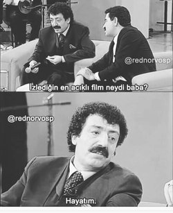 Gül
