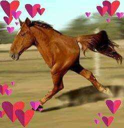 Ahsan