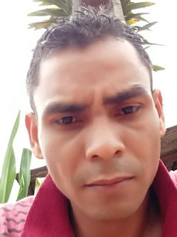 Diones