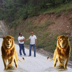 Erkan