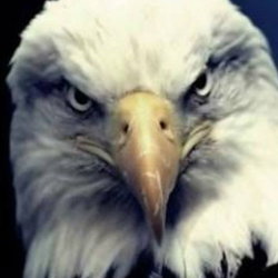 Kartal