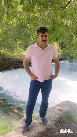 Şahin