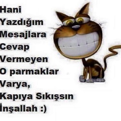 Isa