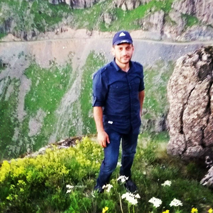 Şahin