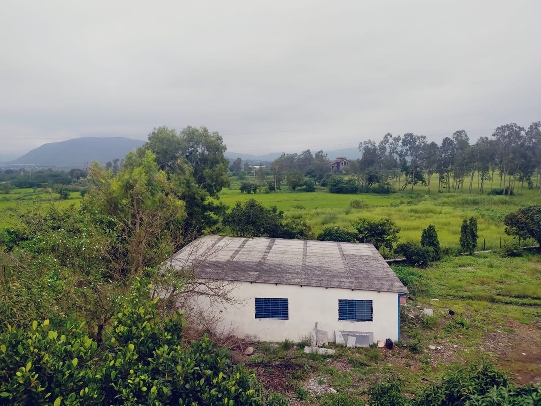 Saswati
