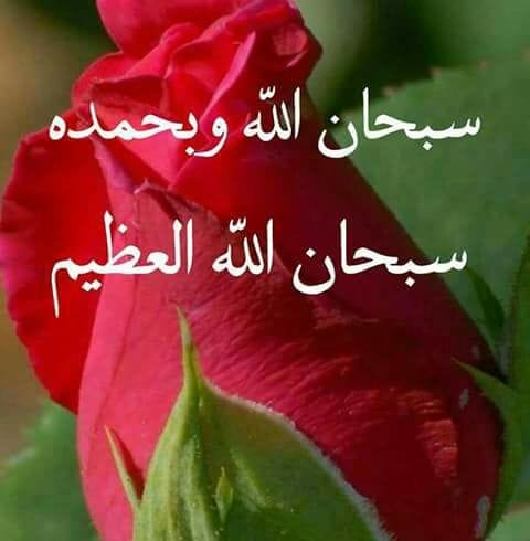 احمد