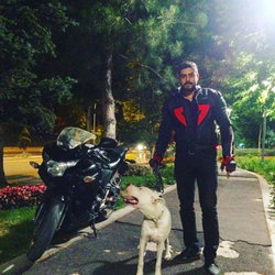 Sedat