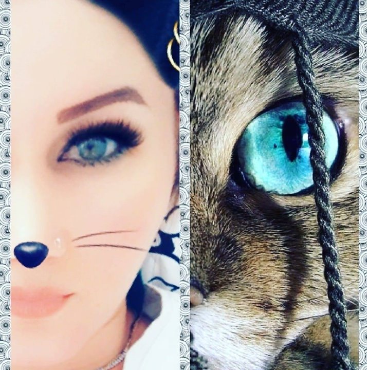 Kamilka