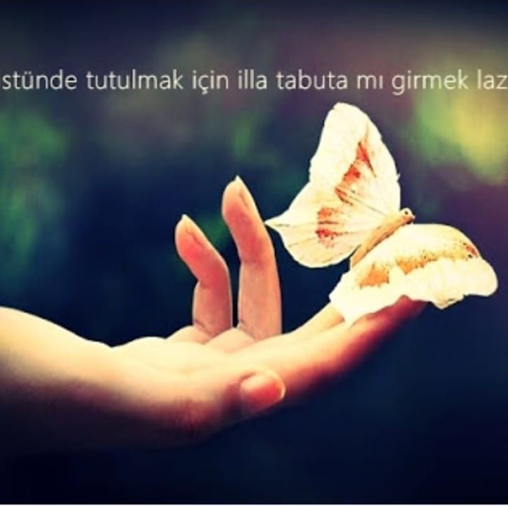 Cansel