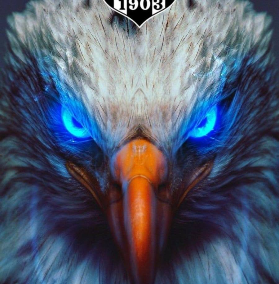 Caner