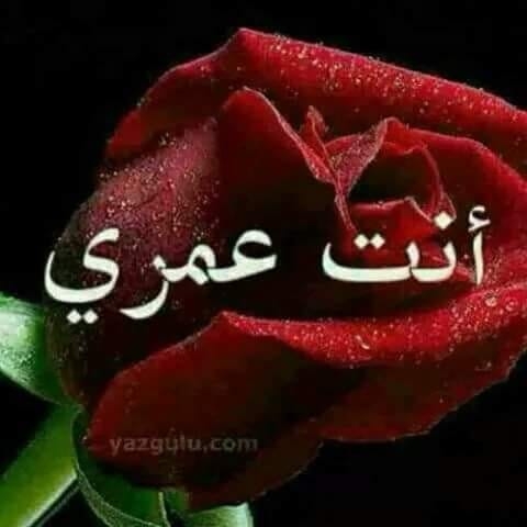 Abo