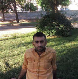 Şahin