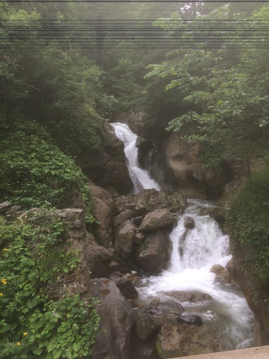 Sevgi