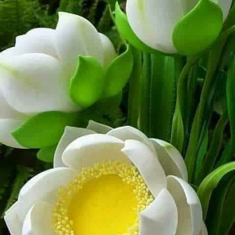 متعب