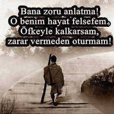 Duygu