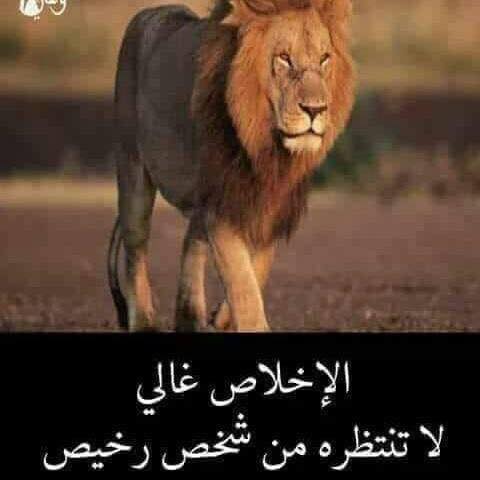 Shubra