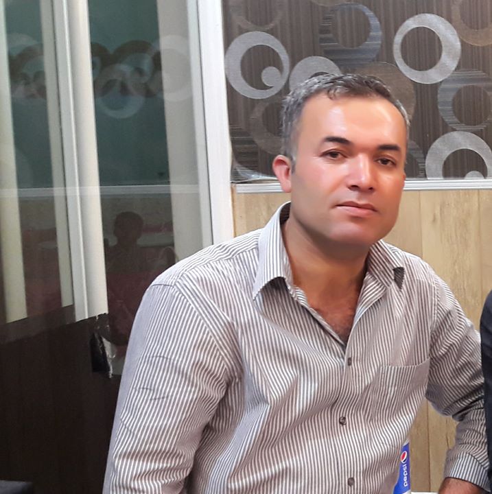 Şahin