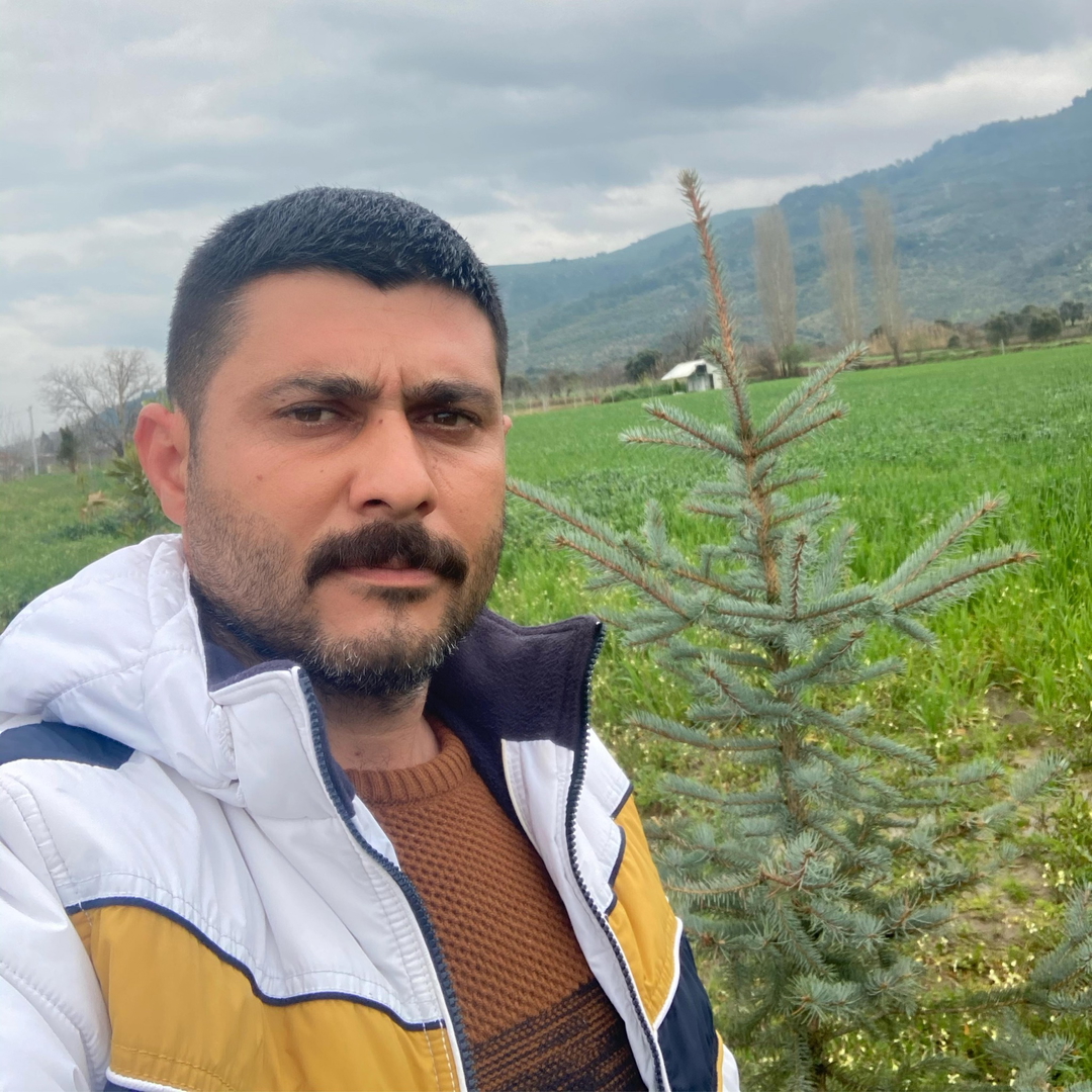 Mürşit