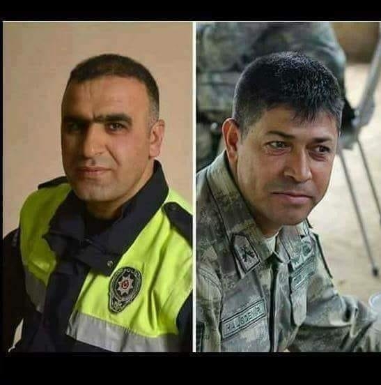 Varlı