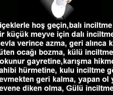 Aysel