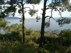 Deniz