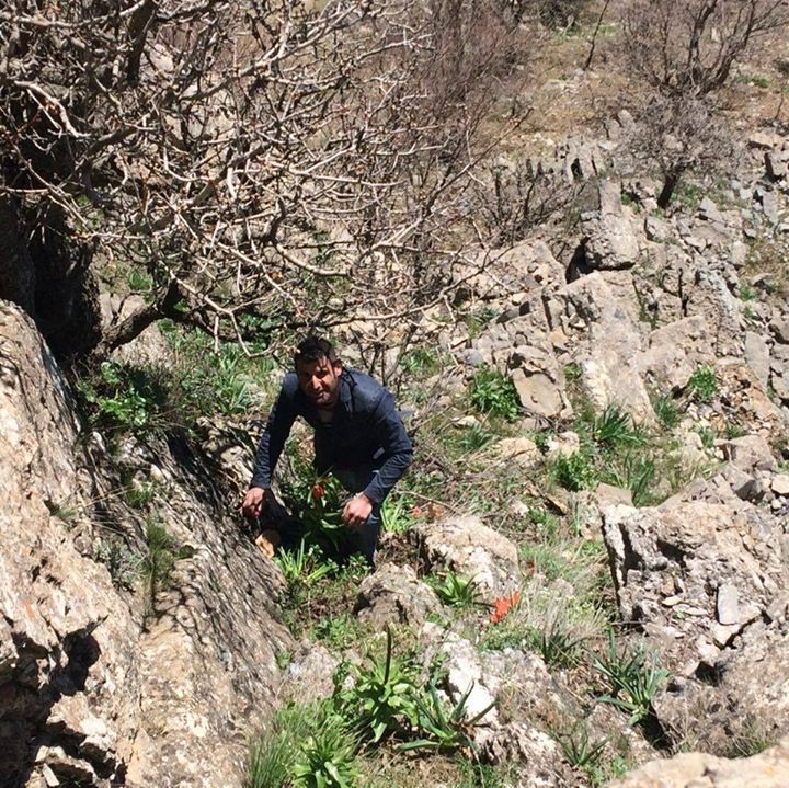 Emrah