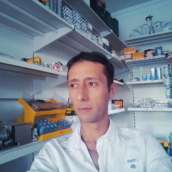 Halil