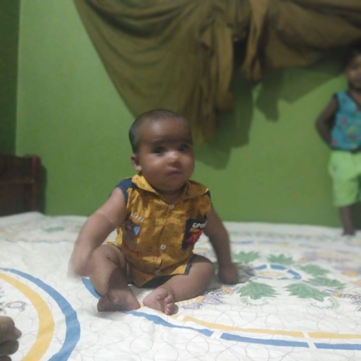 Aliul