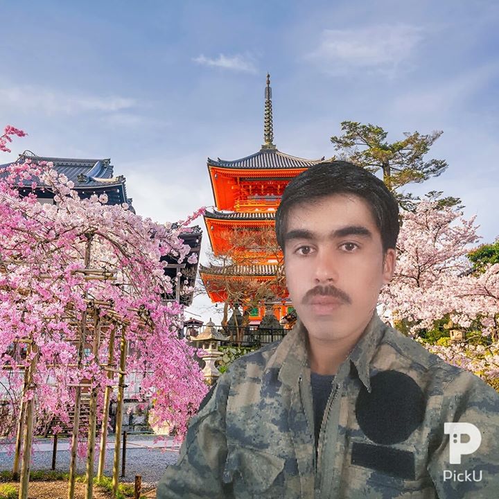 محمدشریف