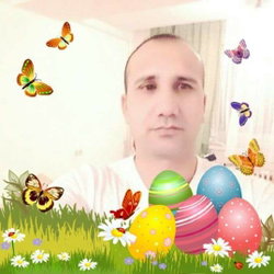 Javid