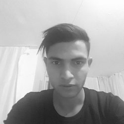 Halil